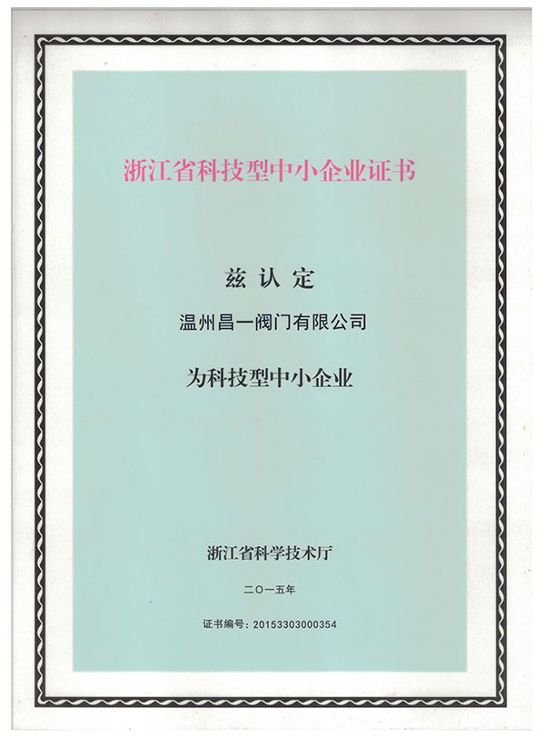 科技型中小企业-2