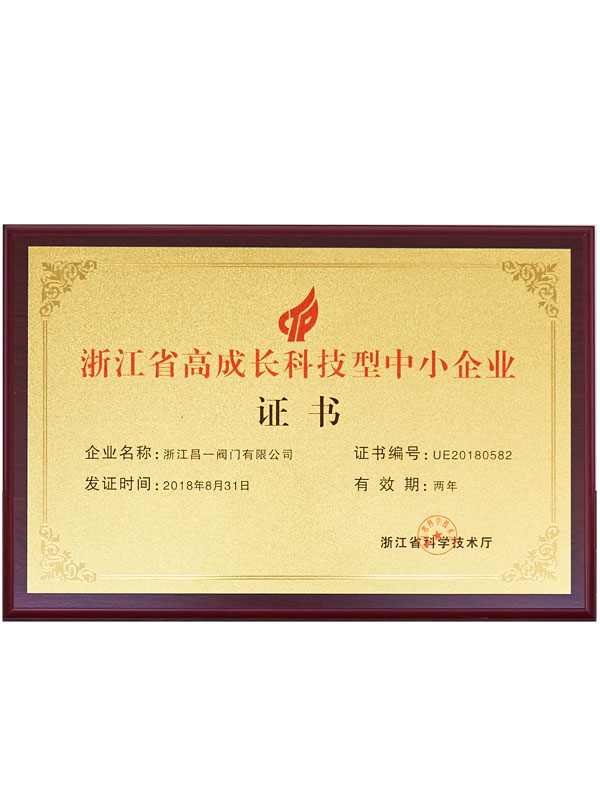 浙江高成长科技型中小企业